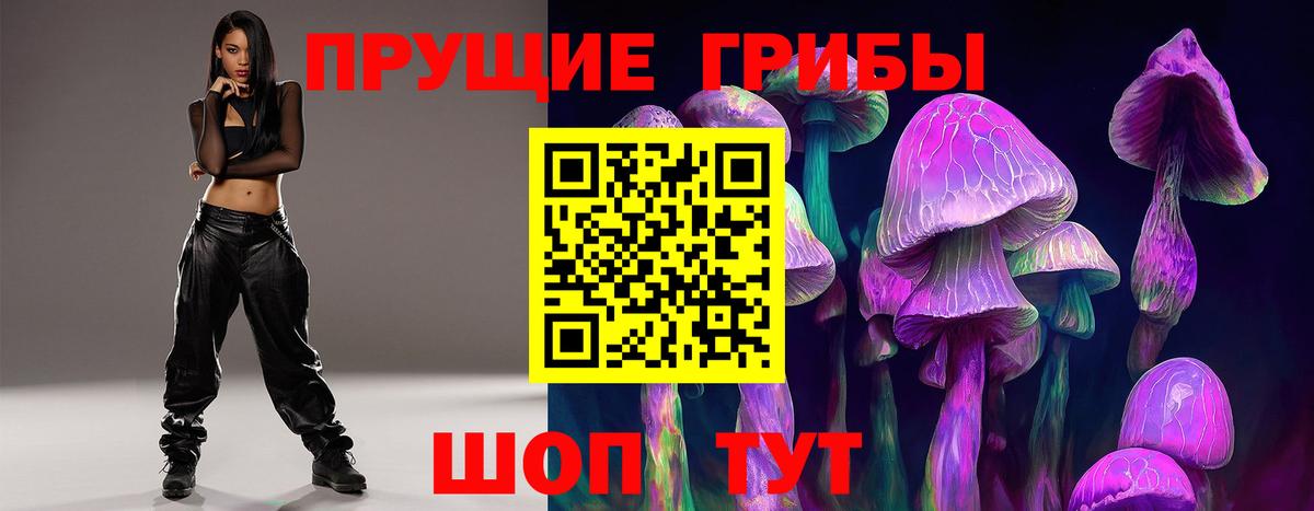 Галлюциногенные грибы Magic Shrooms  Вход с VPN  Дубна  Псилоцибиновые грибы Psilocybine cubensis 